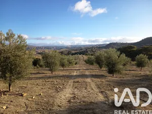 Terreny a Alamedilla (Granada)