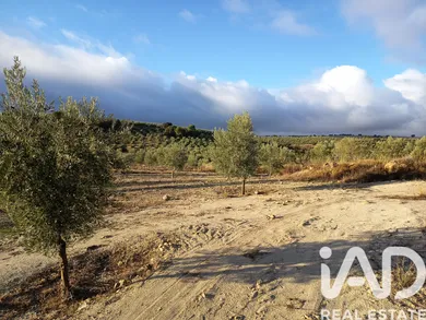 Terrain loisirs à Alamedilla (Granada)