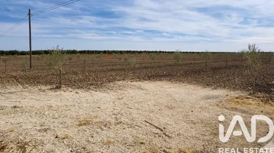 Terreno agricola en CAÑADA ROSAL
