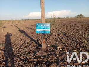 Terreny agrícola a CAÑADA ROSAL