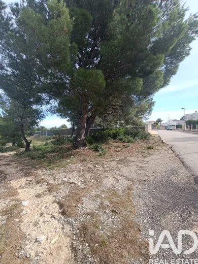 Terreny a L'Ametlla de Mar