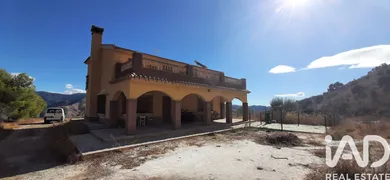 Terreny a Fuente de Piedra