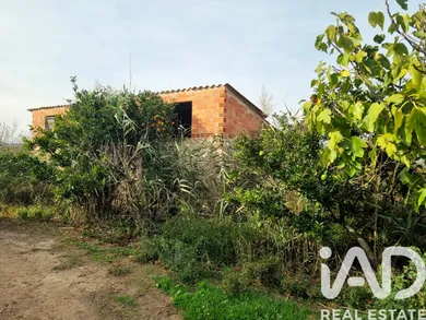 Terreno agricola en Benissanet