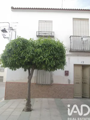 Casa de pueblo en Santiago de Calatrava