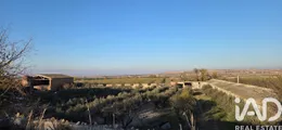 Terreno en Vilagrassa