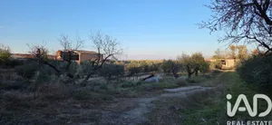 Terreny a Vilagrassa