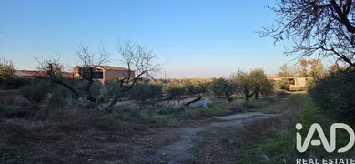 Terreno en Vilagrassa