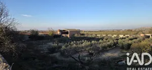 Terreny a Vilagrassa