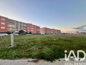 Terreny edificable a Amposta