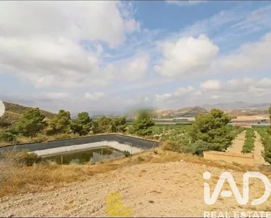 Terreno agricola en Lorca