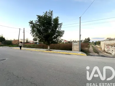 Terreny a Sant Jaume d'Enveja
