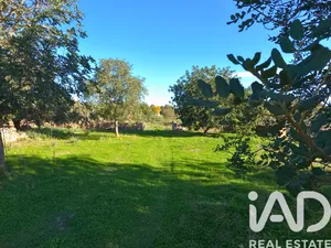 Terreno en Santa Margalida
