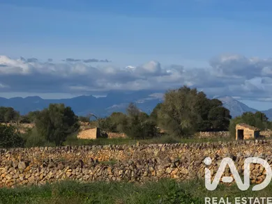 Terreno en Santa Margalida