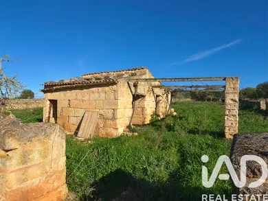 Terreno en Santa Margalida