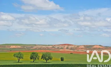 Terreny agrícola a Tejado