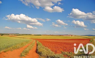 Terreny agrícola a Tejado