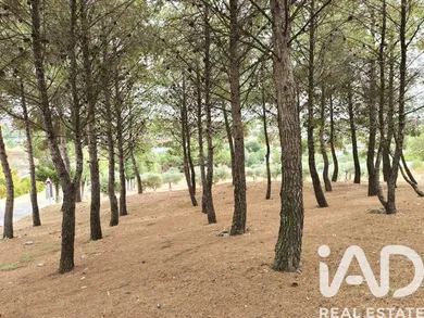 Terreno edificable en Colmenar de Oreja