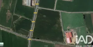 Terreny agrícola a San Millán de los Caballeros, León