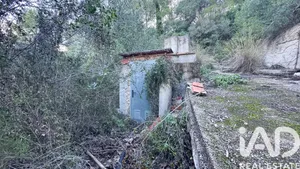 Terreno agricola en Pego
