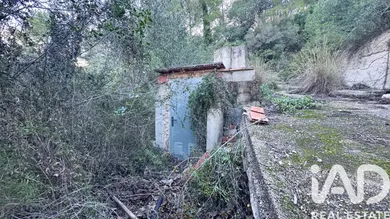 Terreny agrícola a Pego