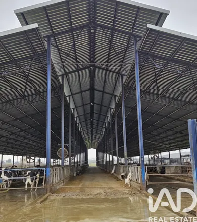 Terreno agricola en Lucillos