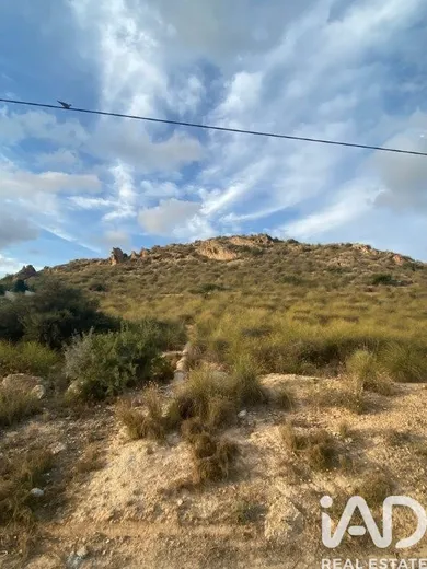 Terreny edificable a San Vicente del Raspeig