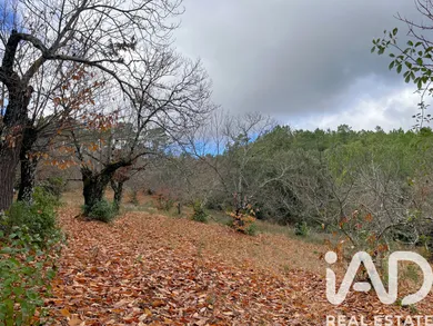Leisure land in Galaroza