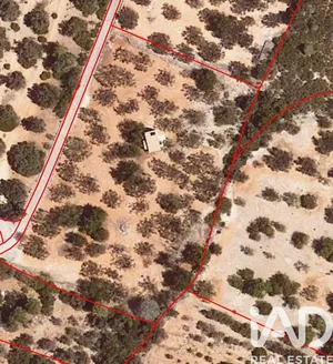 Terreno agricola en Santa Bàrbara