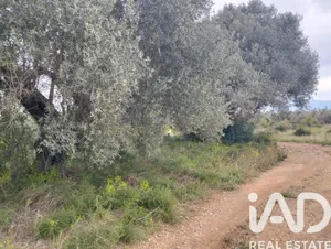 Terreno rústico en Tivenys