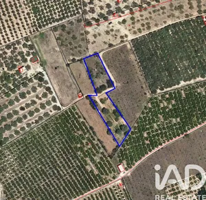 Terreny rústic a Tivenys