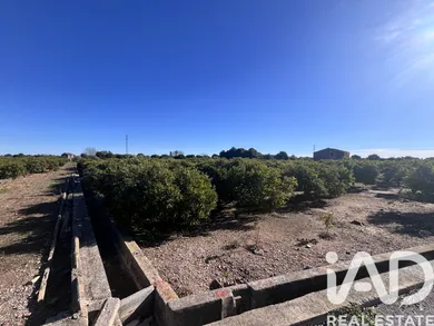 Terreno agricola en Borriana