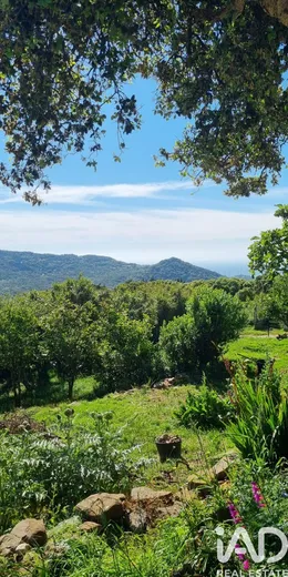 Cottage in Tarifa