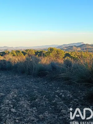 Terreno rústico en Lorca