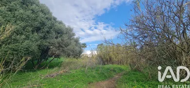Building plot in Mijas