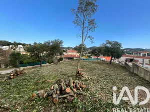 Terreny a Lloret de Mar