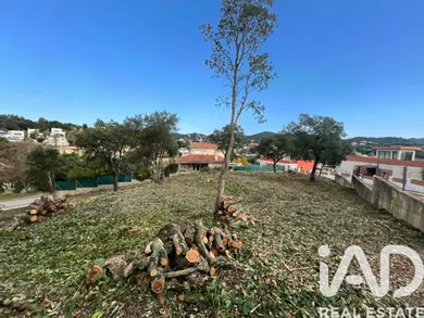 Terreny a Lloret de Mar