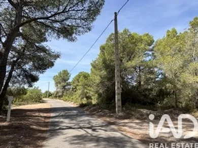 Terreny agrícola a Vallmoll