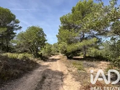 Terreny agrícola a Vallmoll