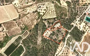 Terreny agrícola a Vallmoll