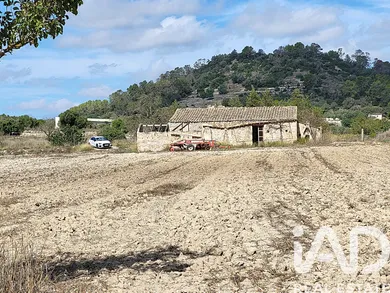 Terreno rústico en Sineu