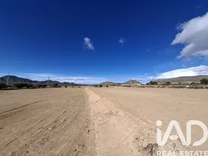 Terreny rústic a Lorca