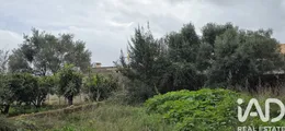 Terreny edificable a Sant Llorenç des Cardassar