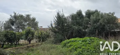 Terreny edificable a Sant Llorenç des Cardassar