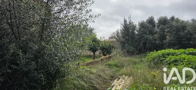 Terreny edificable a Sant Llorenç des Cardassar