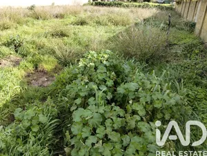 Terreno en Sanlúcar de Barrameda