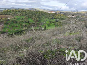 Terreno rústico en Vélez-Málaga