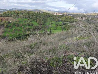Terreno rústico en Vélez-Málaga
