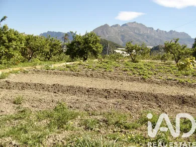 Terreno rústico en Polop