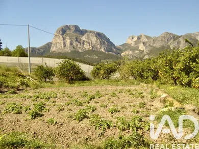 Leisure land in Polop