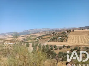 Terrain loisirs à Casabermeja